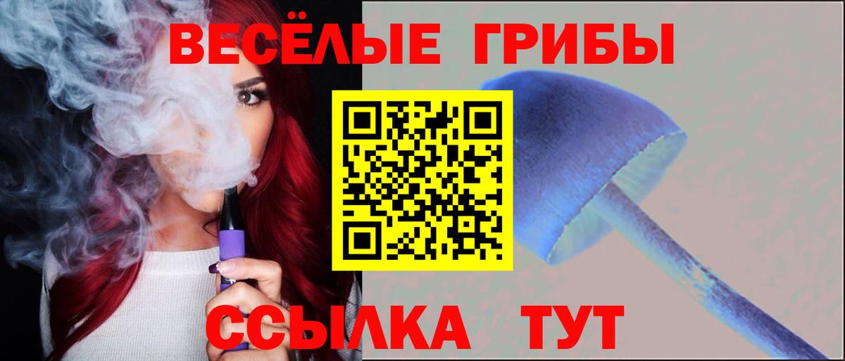 Геленджик  Псилоцибиновые грибы Psilocybe  Вход с VPN  Псилоцибиновые грибы ЛСД 