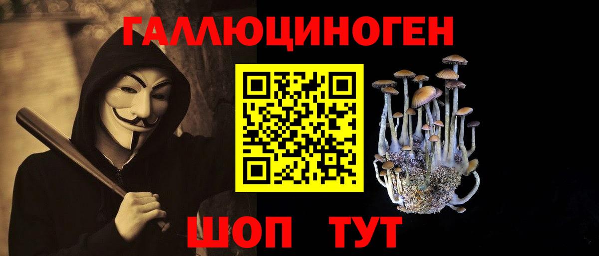 Галлюциногенные грибы ЛСД Геленджик